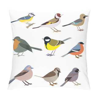 Personality  Set Of Beautiful Multi-colored Birds On A White Background. Pillow Covers