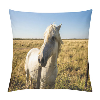 Personality  Animal Pillow Covers
