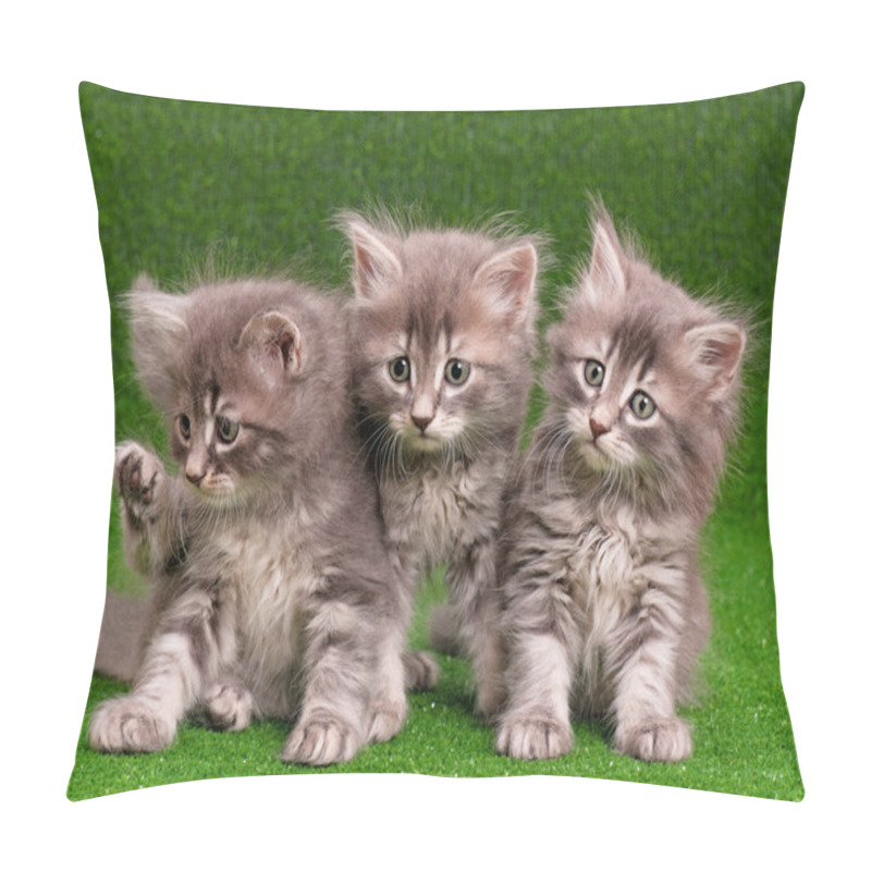 Personality  Cute gray kittens pillow covers