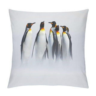 Personality  Group Of King Penguins Pillow Covers