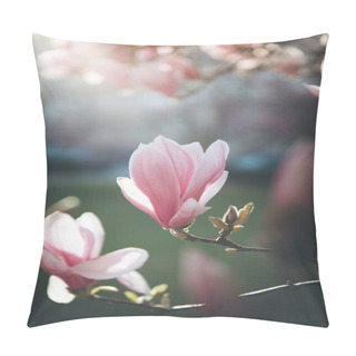 Personality  Springtime: Blooming Tree With Pink Magnolia Blossoms, Beauty Pillow Covers