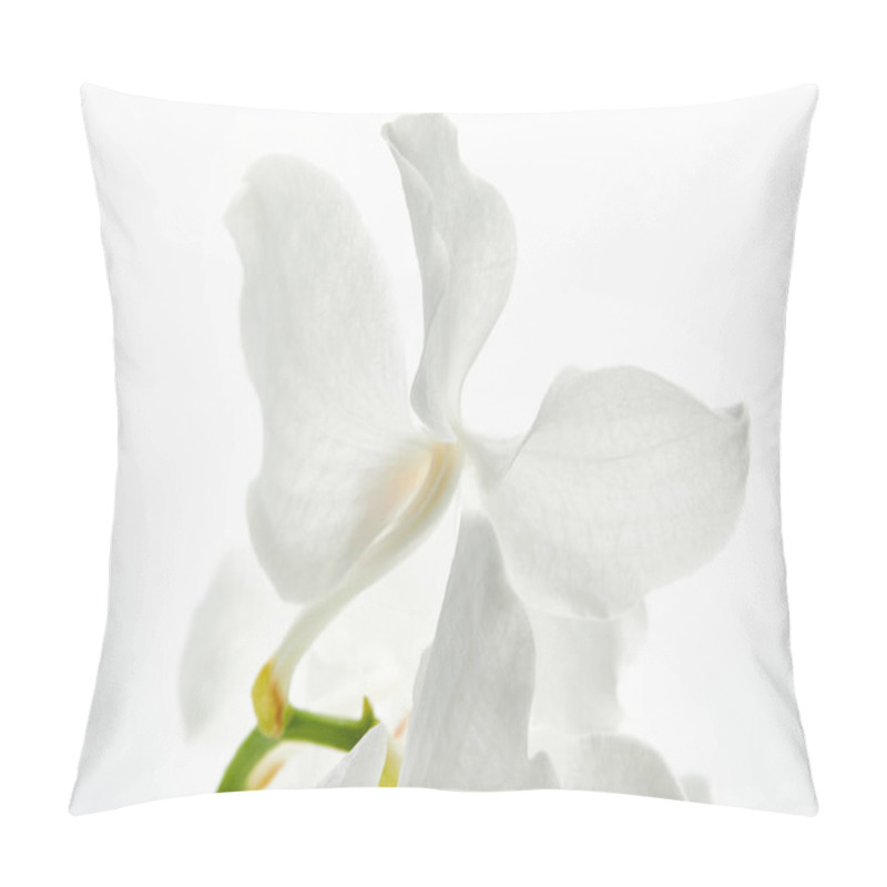 Personality  close up view of beautiful orchid flower on branch isolated on white pillow covers