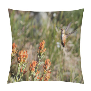 Personality  Rufous Hummingbird With Wildflowers Pillow Covers