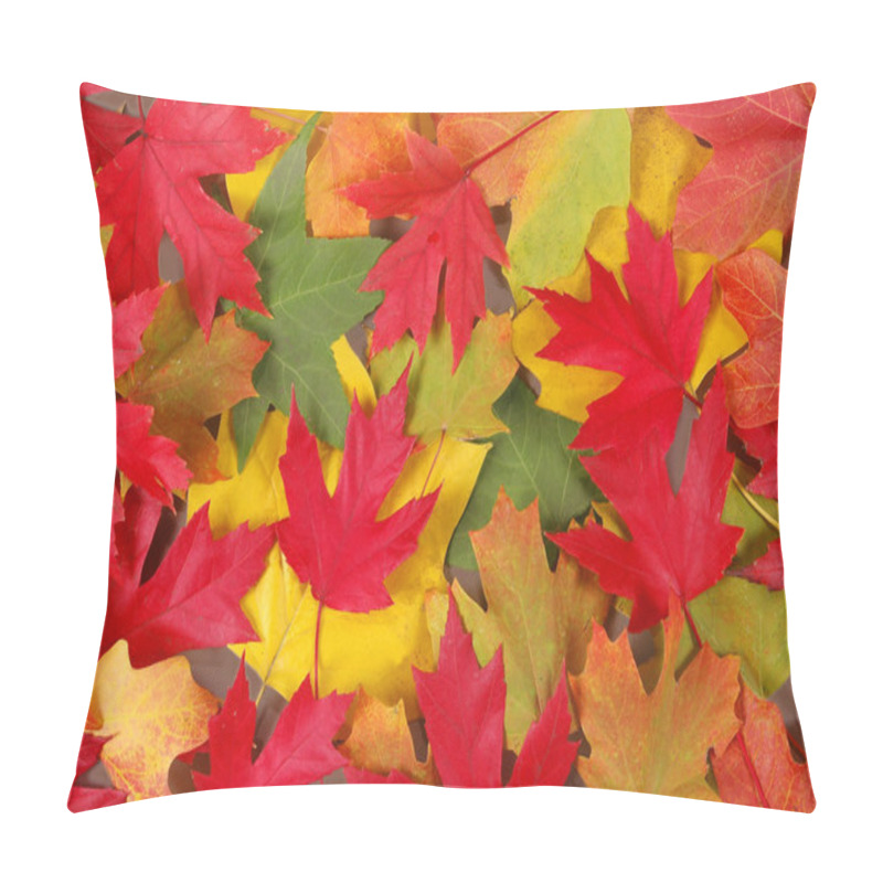 Personality  Fall Leaves pillow covers