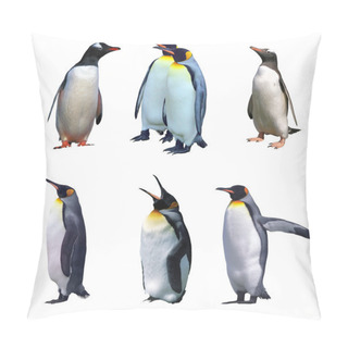 Personality  Isolated Gentoo And Emperor Penguins Pillow Covers