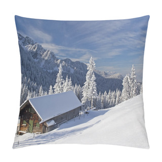 Personality  Wasensteiner Alm In Winter Pillow Covers