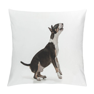 Personality  Bull Terrier Type Dog On White Background Pillow Covers