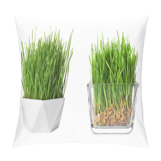 Personality  Bowls With Fresh Wheat Grass On White Background Pillow Covers