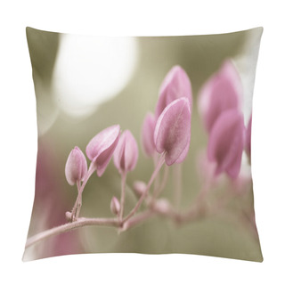 Personality  Vintage Style Of Coral Vine Plant With Blur Background Pillow Covers