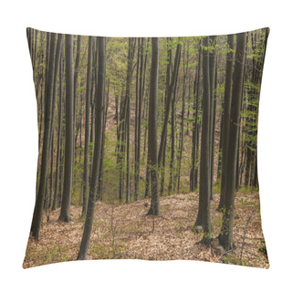 Personality  Trees On Hill In Mountain Forest In Spring Pillow Covers