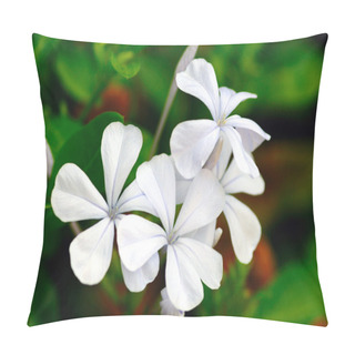 Personality  White Periwinkle Pillow Covers