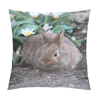 Personality  Baby Rabbit Pillow Covers