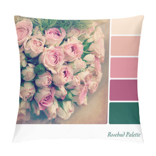 Personality  Rosebud Palette Pillow Covers