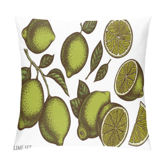 Personality  Citrus Hand Drawn Vector Illustrations Collection. Colored Lime. Pillow Covers