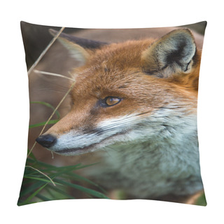 Personality  Close Up Of Fox Pillow Covers