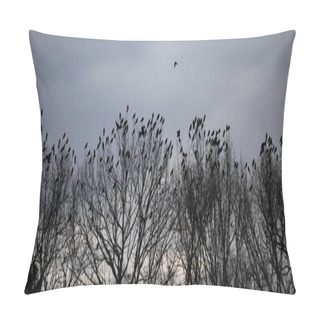 Personality  Trees And Sky In The Forest With Crows  Pillow Covers