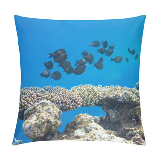 Personality  Coral Fish Pillow Covers