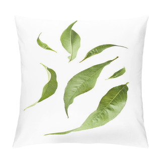 Personality  Flying Green Tea Leaves Isolated On White Background. Food Levitation Concept, High Resolution Pillow Covers