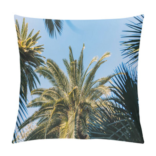 Personality  Green Palm Trees On Blue Sky Background In Parc De La Ciutadella, Barcelona, Spain Pillow Covers
