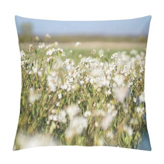 Personality  Beautiful Blooming Flowers On A Large Spring Meadow. April Flower In The Sun. Stock Background In Nature With Green Grass Pillow Covers