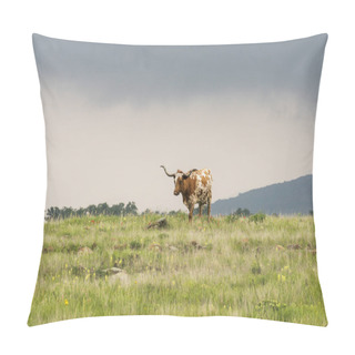 Personality  Texas Longhorn  Pillow Covers