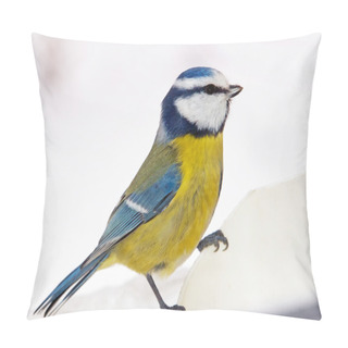 Personality  Blue Tit Pillow Covers