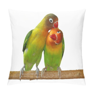 Personality  Love Lovebird Isolated On White Agapornis Fischeri Pillow Covers