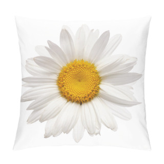 Personality  Chamomile Flower Isolated On White Pillow Covers
