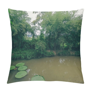 Personality  Rare Species Of Water Lillies At A Thai Garden In Phuket Thailand Pillow Covers