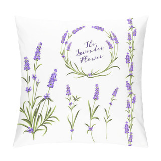 Personality  Vector Botanical Illustration Bundle. Pillow Covers