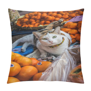 Personality  Funny Cat Lay In Oranges Pillow Covers