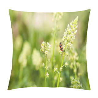Personality  Reseda With Bug Pillow Covers