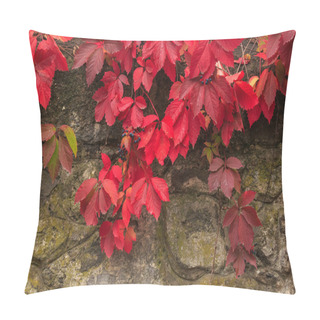 Personality  Plant With Red Leaves On Stone Wall Pillow Covers