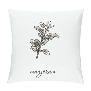 Personality  Marjoram. Natural Herbs. Sketch On Grey Pillow Covers