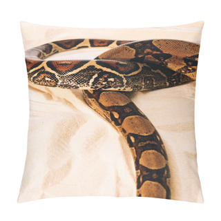 Personality  High Angle View On Pattern On Python Snakeskin On Sand Pillow Covers