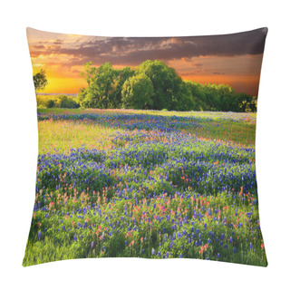 Personality  Bluebonnets And Indian Paintbrushes In Late Afternoon Light Pillow Covers