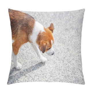 Personality  Homeless Hungry Mongrel Dog Walking Alone On The Street Pillow Covers