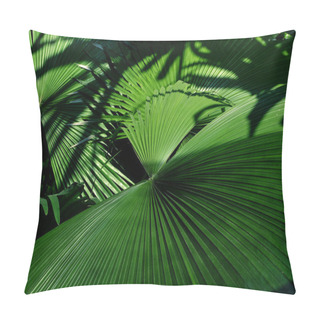 Personality  Jungle Plant Tropical Palm Leaves, Stripes From Nature. Pillow Covers