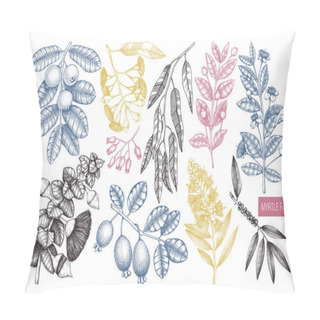 Personality  Colorful Myrtle Family Plants Design. Hand Sketched Floral Illustration. Botanical Sketch With Berries, Flowers And Leaves. Vintage Style Template On White Background Pillow Covers