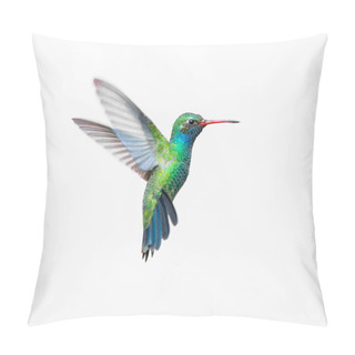 Personality  Broad Billed Hummingbird. Pillow Covers