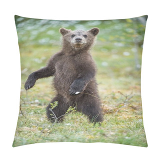Personality  Bear Cub Stood Up On Its Hind Legs Pillow Covers