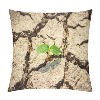 Personality  Green Plant Growing Out Of Cracks In The Earth Pillow Covers