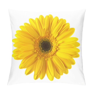 Personality  Yellow Daisy Flower Isolated Pillow Covers