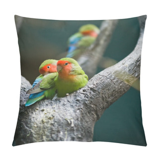 Personality  Rosy-faced Lovebirds Pillow Covers