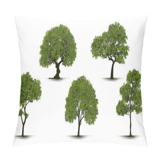 Personality  Illustration Realistic Tree Isolated On White Background - Vector. Pillow Covers