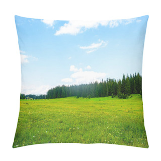 Personality  Green Valley With Trees And Cloudy Sky In Durmitor Massif, Montenegro Pillow Covers