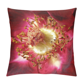 Personality  Close Up Of Red Rose Pillow Covers