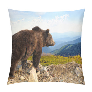 Personality  Brown Wild Bear Pillow Covers