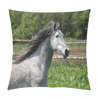Personality  Nice Carthusian Stallion Running Pillow Covers