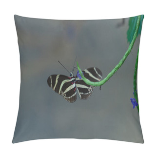 Personality  Elegant Stripes, Tropical Butterfly Serenity Natures Artwork Pillow Covers